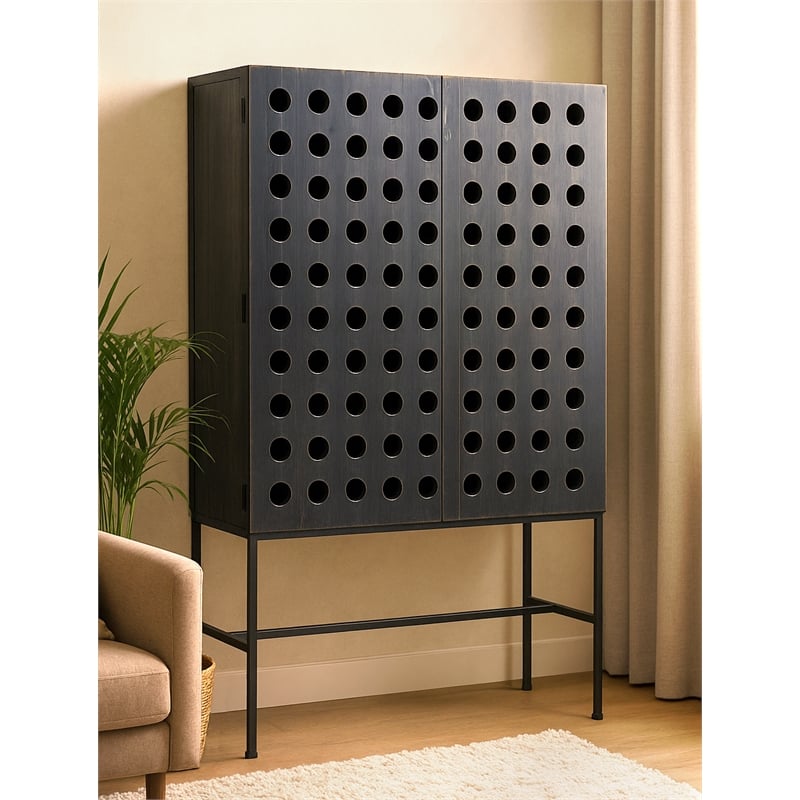 Pemberly Row Reclaimed Pine 2 Door Tall Cabinet on Cast Iron Base in Black