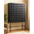 Pemberly Row Reclaimed Pine 2 Door Tall Cabinet on Cast Iron Base in Black