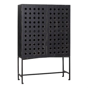 Pemberly Row Reclaimed Pine 2 Door Tall Cabinet on Cast Iron Base in Black