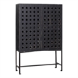 Pemberly Row Reclaimed Pine 2 Door Tall Cabinet on Cast Iron Base in Black
