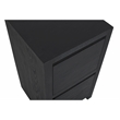 Pemberly Row 2-Drawer Reclaimed Solid Wood File Cabinet in Graphite Black