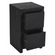 Pemberly Row 2-Drawer Reclaimed Solid Wood File Cabinet in Graphite Black