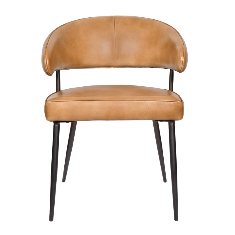 Pemberly Row 2-Piece Genuine Leather Side Chair Set in Caramel Finish