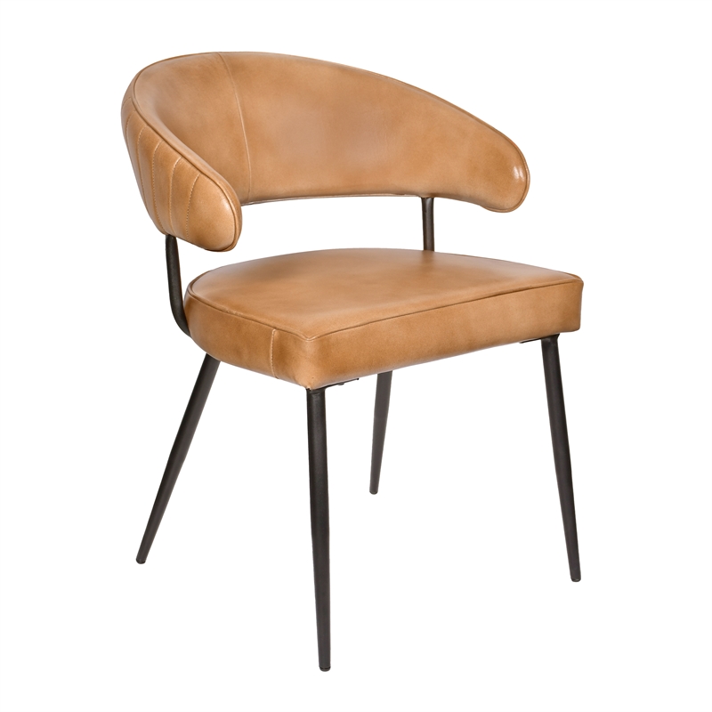 Pemberly Row 2-Piece Genuine Leather Side Chair Set in Caramel Finish