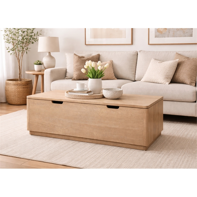 Pemberly Row Reclaimed Wood Storage Bench Cocktail Table in Ash Ivory