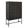 Pemberly Row Recycled Pine 2-Door Tall Cabinet in Antique Black with Iron Base