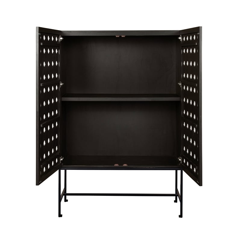 Pemberly Row Recycled Pine 2-Door Tall Cabinet in Antique Black with Iron Base