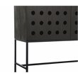 Pemberly Row Recycled Pine 2-Door Tall Cabinet in Antique Black with Iron Base