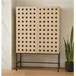 Pemberly Row Recycled Pine 2-Door Tall Cabinet in Sand Oak with Iron Base