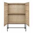 Pemberly Row Recycled Pine 2-Door Tall Cabinet in Sand Oak with Iron Base
