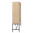 Pemberly Row Recycled Pine 2-Door Tall Cabinet in Sand Oak with Iron Base