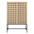 Pemberly Row Recycled Pine 2-Door Tall Cabinet in Sand Oak with Iron Base