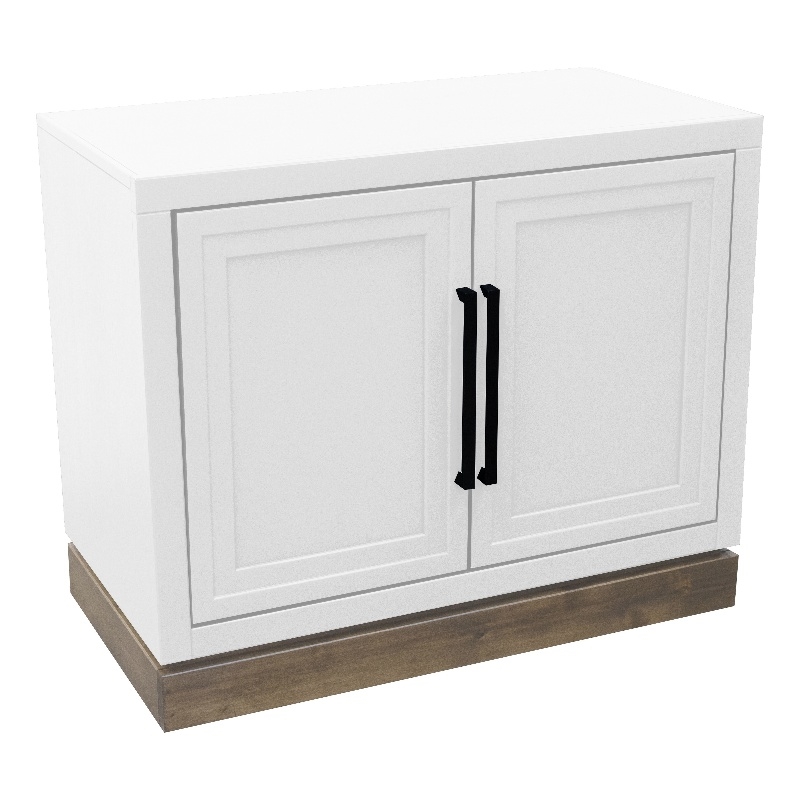 Pemberly Row Two-Door Storage Cabinet with Painted Finish in White