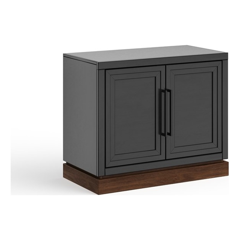 Pemberly Row Contemporary Two-Door Storage Cabinet with Painted Finish