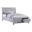 Pemberly Row Queen Storage Bed with Sleigh Headboard & Footboard Drawers in Gray