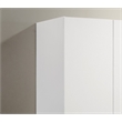 Pemberly Row White Engineered Wood 3-Door 46
