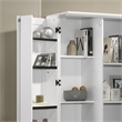 Pemberly Row 2-Door Engineered Wood Storage Cabinet with Shelves in White