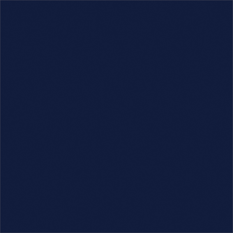 Pemberly Row Queen Metal Platform Bed with Traditional Accents in Navy Blue