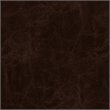 Pemberly Row Faux Leather Accent Chair with Nailhead Trim in Dark Brown