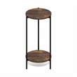 Pemberly Row 2-Tier Round Narrow Metal Frame Metal Legs End Table in Amber Pine