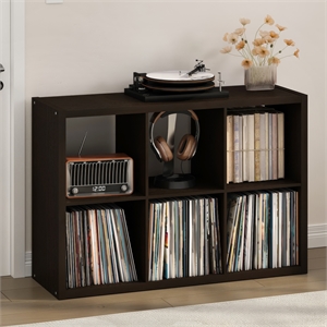 Pemberly Row 6 Cube Vinyl Record Media Storage Organizer in Dark Oak Finish