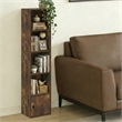 Pemberly Row 5 Tier Bookcase with Door Cabinet and Closed Back in Amber Pine