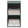 Pemberly Row 2 Tier Modern Bookshelf with Open Shelves in Sage Green Finish