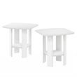 Pemberly Row Oval End Table with Open Shelf in White Finish Set of 2