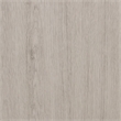 Pemberly Row Queen Panel Bed Headboard with Crown Molding in Sanctuary White
