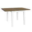 Pemberly Row 3 Piece Drop Leaf Table Set with Ladderback Chairs in White