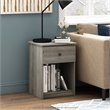 Pemberly Row Engineered Wood Nightstand Set of 2 in French Oak Gray