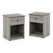 Pemberly Row Engineered Wood Nightstand Set of 2 in French Oak Gray
