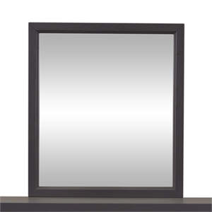 Pemberly Row Dark Gray Mirror with Melamine and Rubberwood Frame
