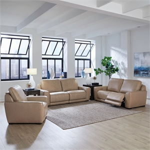 Pemberly Row Sofa Loveseat and Recliner Set in Oatmeal Brown Leather