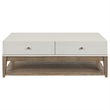 Pemberly Row 3 Piece Cocktail and End Table Set with Drawers in Khaki Brown Wood