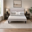 Pemberly Row 3-piece Wood Queen Bedroom Set in Mist Beige