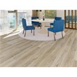 Pemberly Row SPC Vinyl Flooring in Argent Ash with Slip-Resistant EVA Backing