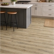 Pemberly Row SPC Vinyl Flooring in Argent Ash with Slip-Resistant EVA Backing