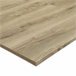 Pemberly Row SPC Vinyl Flooring in Argent Ash with Slip-Resistant EVA Backing