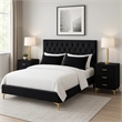 Pemberly Row 4 Piece Queen Bedroom Set in Black Velvet with Gold