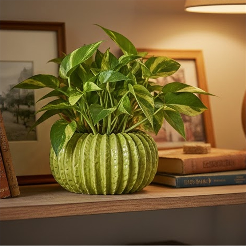 Pemberly Row Melon Shape Decorative Planter in Ribbed Green Ceramic
