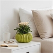 Pemberly Row Melon Shape Decorative Planter in Ribbed Green Ceramic