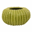 Pemberly Row Melon Shape Decorative Planter in Ribbed Green Ceramic