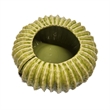 Pemberly Row Melon Shape Decorative Planter in Ribbed Green Ceramic