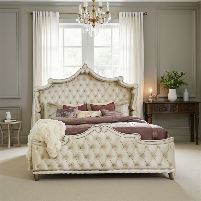 Pemberly Row Queen Bed with Tufted Velvet and French Carved Wood in Ivory