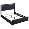 Pemberly Row 4 Piece Full Bedroom Set with LED Bed in Black and Gold