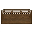 Pemberly Row Wood Twin Captains Bed With Trundle in Medium Brown