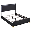 Pemberly Row 4-Piece Queen LED Bedroom Set with Gold Accents in Black
