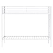Pemberly Row Steel Twin Over Twin Bunk Bed with Ladder in White