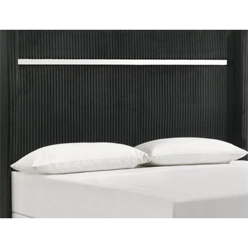 Pemberly Row Queen Bed with Channel Tufted Silver Trim Headboard in Black